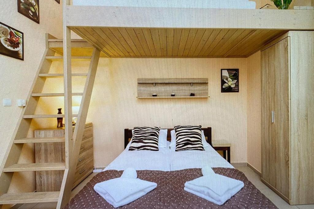 Apartament 7 Minut Od Krupowek Na Nogach! 자코파네 외부 사진